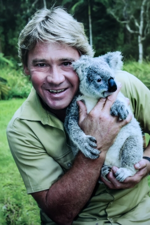 Steve Irwin