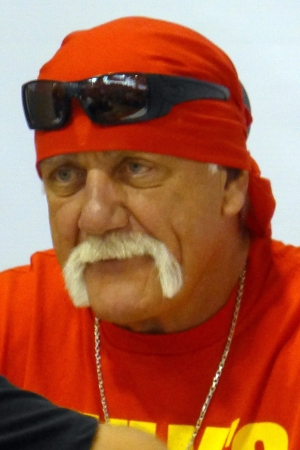 Hulk Hogan (Terry Bollea)