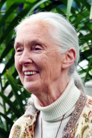 Jane Goodall